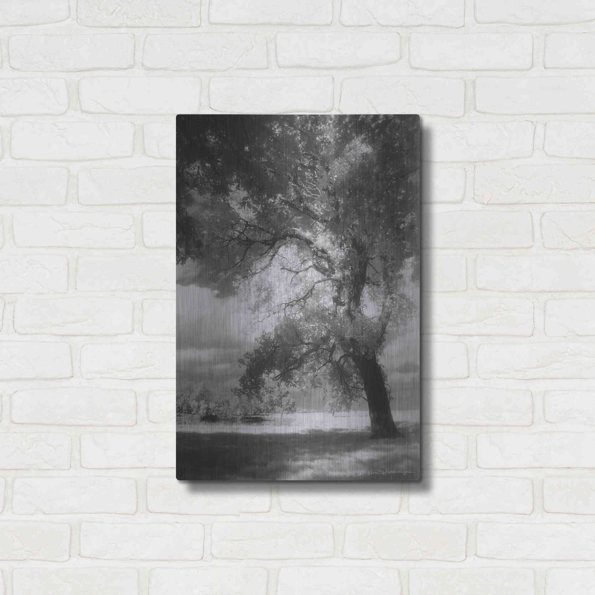 Luxe Metal Art 'Dreamscape' by Debra Van Swearingen, Metal Wall Art,16x24