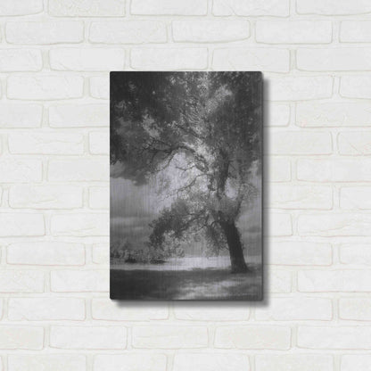 Luxe Metal Art 'Dreamscape' by Debra Van Swearingen, Metal Wall Art,16x24