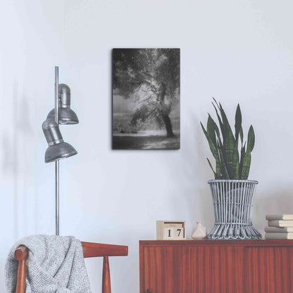 Luxe Metal Art 'Dreamscape' by Debra Van Swearingen, Metal Wall Art,16x24