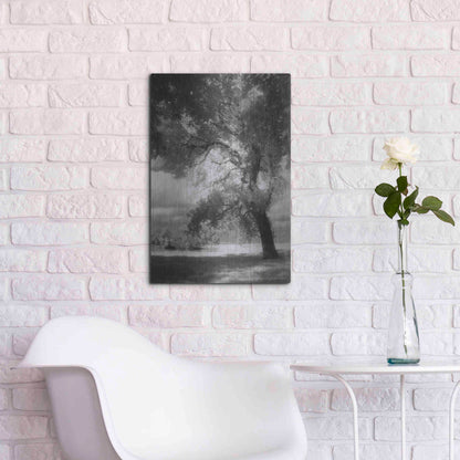 Luxe Metal Art 'Dreamscape' by Debra Van Swearingen, Metal Wall Art,16x24