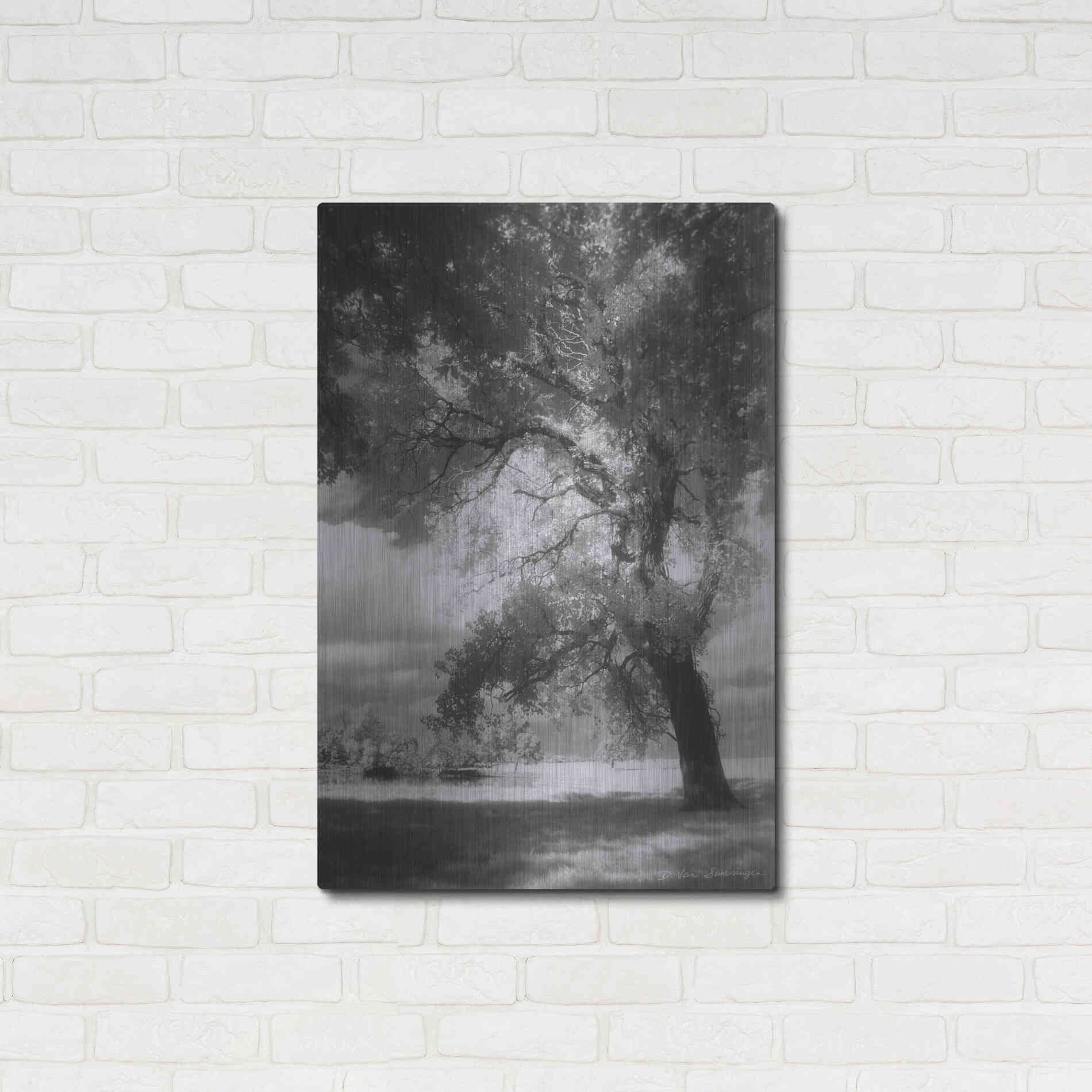 Luxe Metal Art 'Dreamscape' by Debra Van Swearingen, Metal Wall Art,24x36