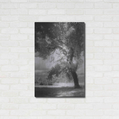 Luxe Metal Art 'Dreamscape' by Debra Van Swearingen, Metal Wall Art,24x36