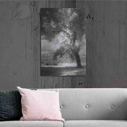 Luxe Metal Art 'Dreamscape' by Debra Van Swearingen, Metal Wall Art,24x36