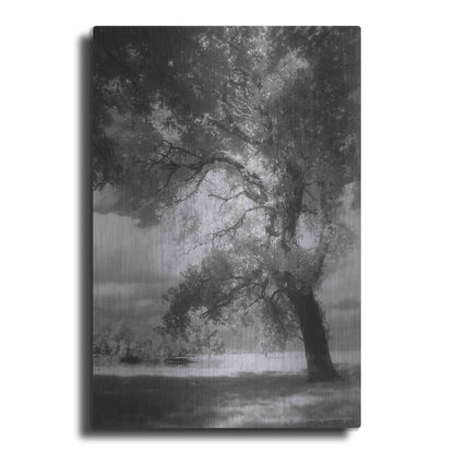 Luxe Metal Art 'Dreamscape' by Debra Van Swearingen, Metal Wall Art