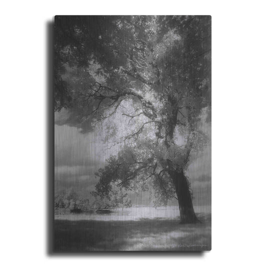 Luxe Metal Art 'Dreamscape' by Debra Van Swearingen, Metal Wall Art