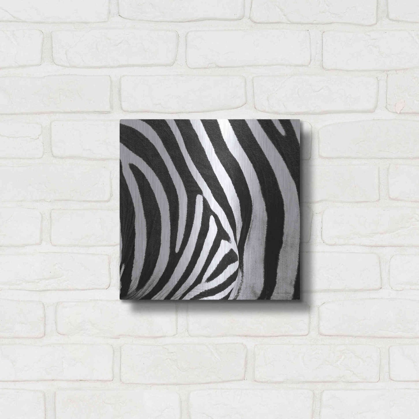 Luxe Metal Art 'Zebra IV' by Debra Van Swearingen, Metal Wall Art,12x12
