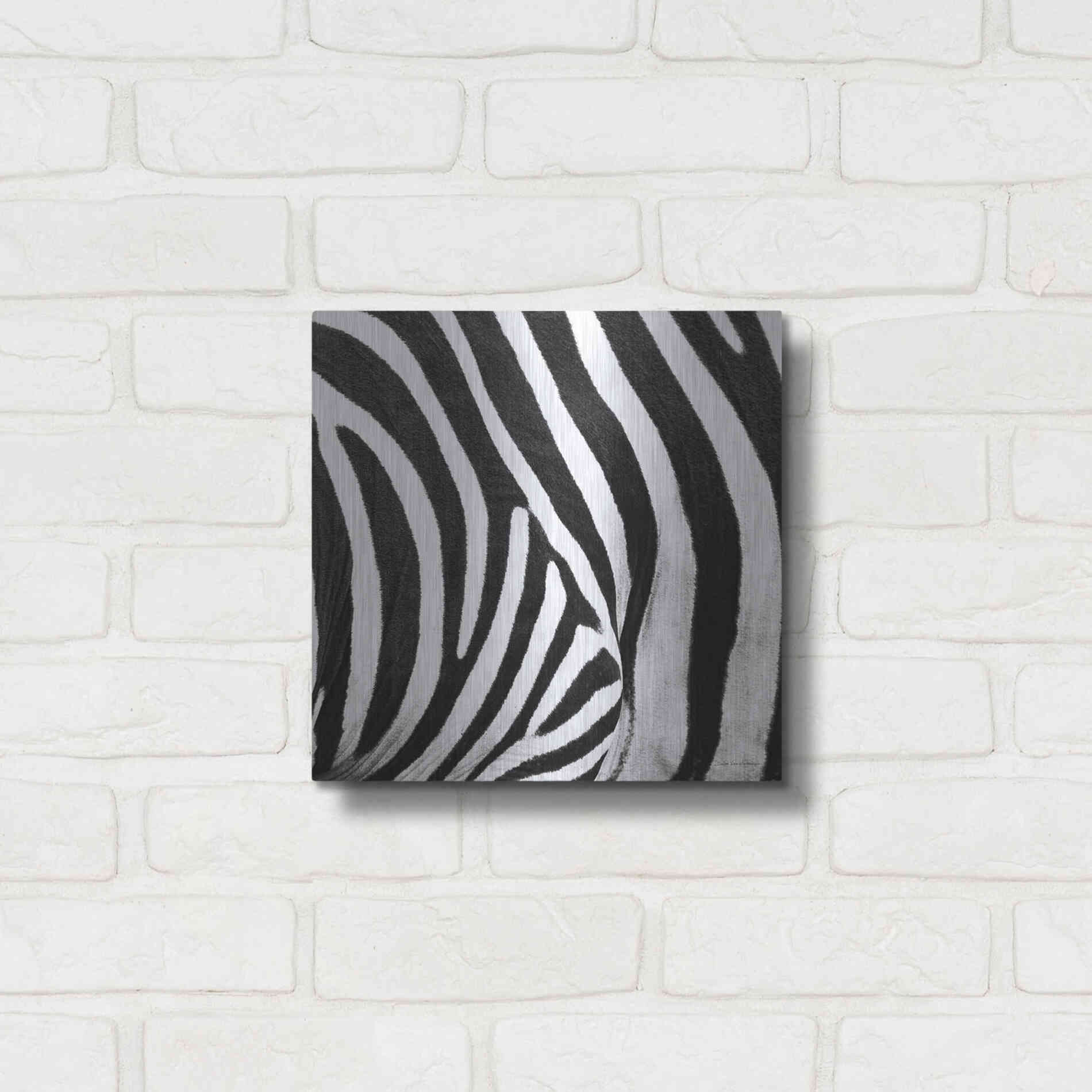 Luxe Metal Art 'Zebra IV' by Debra Van Swearingen, Metal Wall Art,12x12
