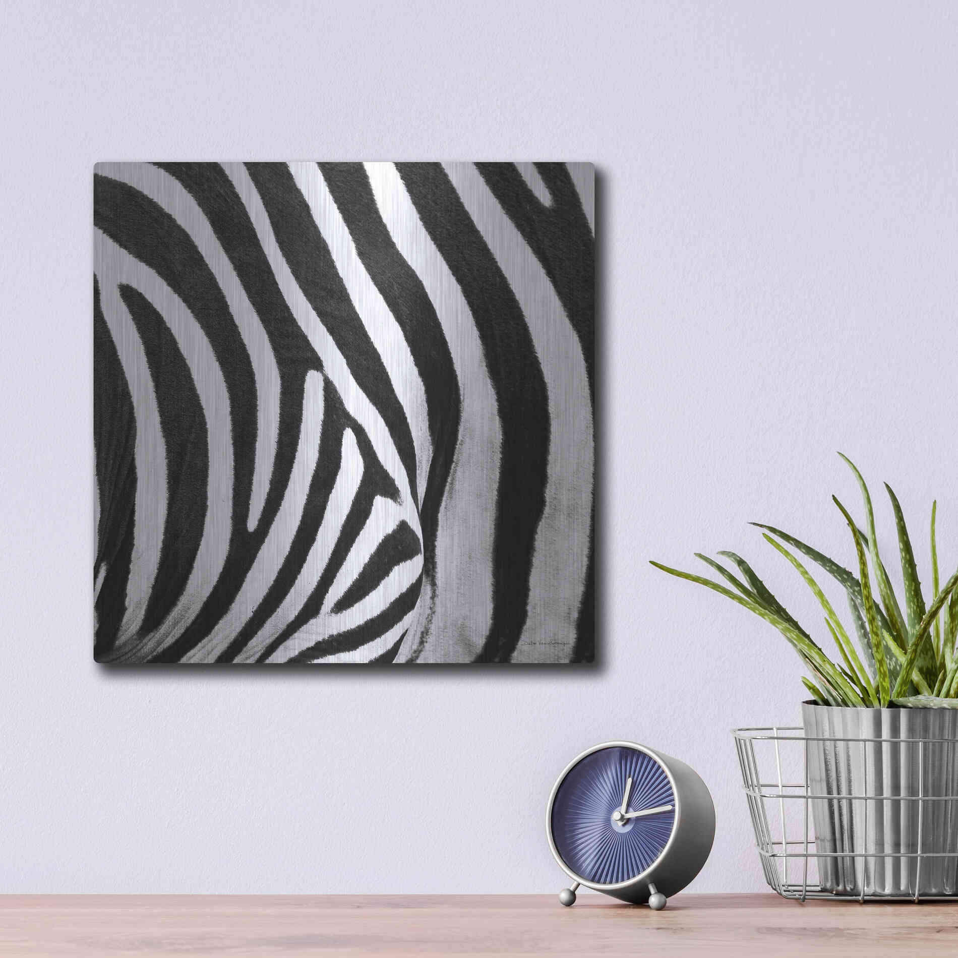 Luxe Metal Art 'Zebra IV' by Debra Van Swearingen, Metal Wall Art,12x12
