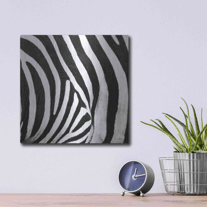 Luxe Metal Art 'Zebra IV' by Debra Van Swearingen, Metal Wall Art,12x12