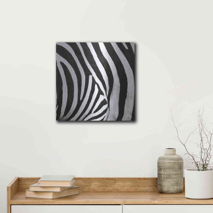Luxe Metal Art 'Zebra IV' by Debra Van Swearingen, Metal Wall Art,12x12