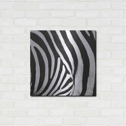 Luxe Metal Art 'Zebra IV' by Debra Van Swearingen, Metal Wall Art,24x24