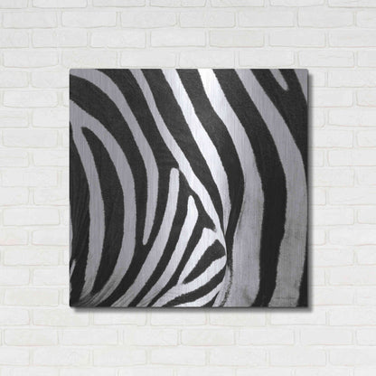 Luxe Metal Art 'Zebra IV' by Debra Van Swearingen, Metal Wall Art,36x36