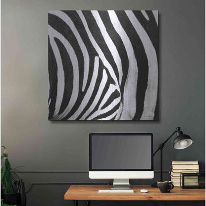 Luxe Metal Art 'Zebra IV' by Debra Van Swearingen, Metal Wall Art,36x36