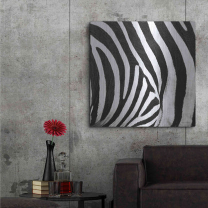Luxe Metal Art 'Zebra IV' by Debra Van Swearingen, Metal Wall Art,36x36