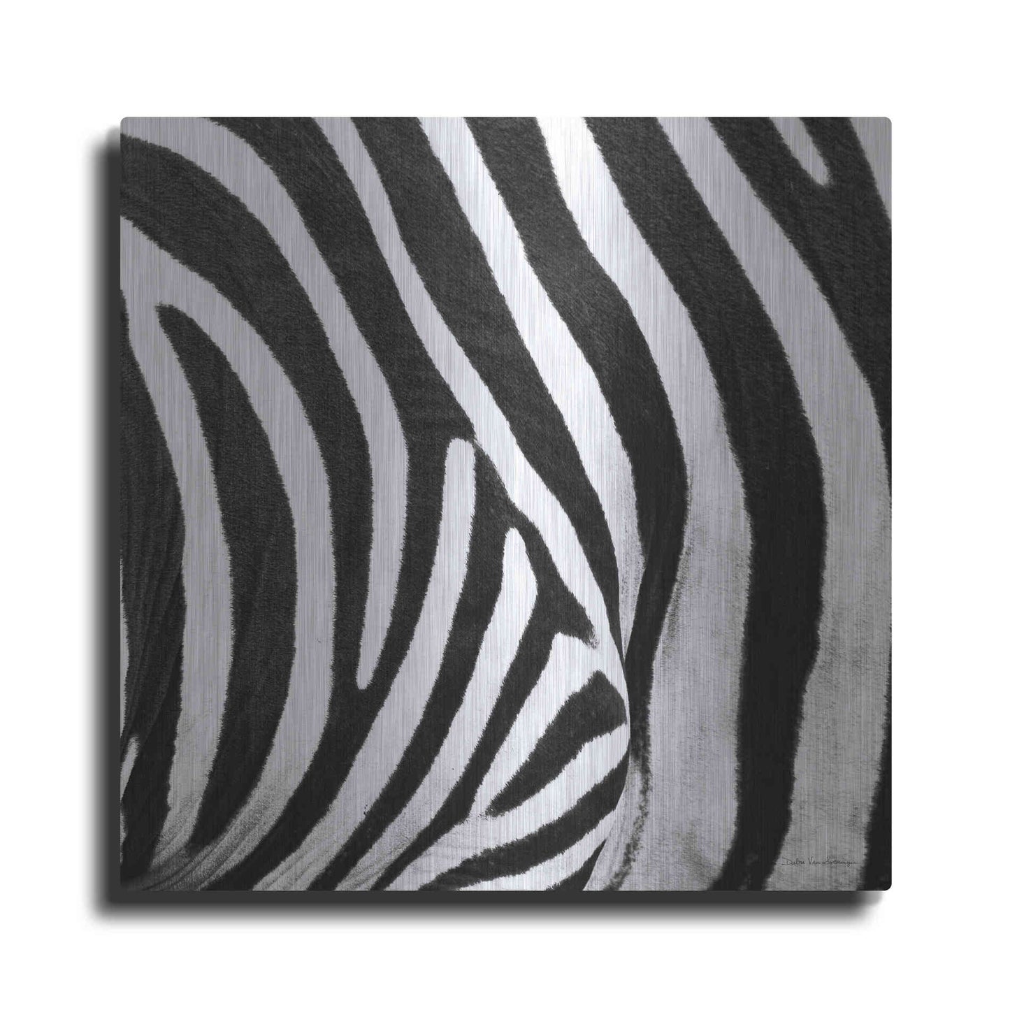 Luxe Metal Art 'Zebra IV' by Debra Van Swearingen, Metal Wall Art