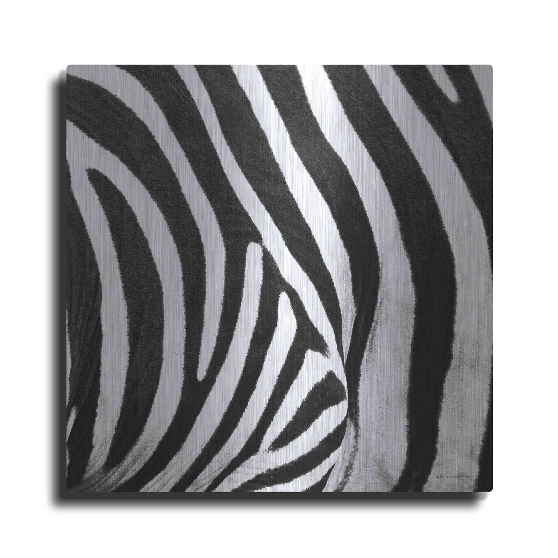 Luxe Metal Art 'Zebra IV' by Debra Van Swearingen, Metal Wall Art