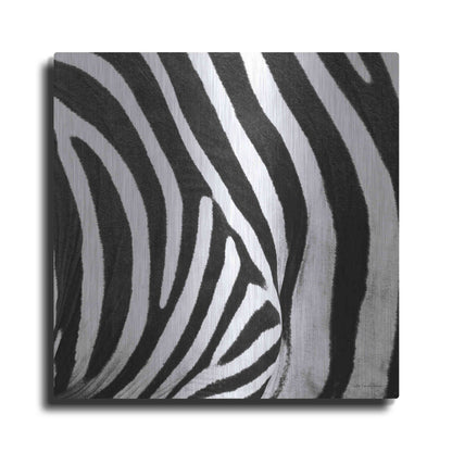 Luxe Metal Art 'Zebra IV' by Debra Van Swearingen, Metal Wall Art