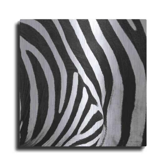 Luxe Metal Art 'Zebra IV' by Debra Van Swearingen, Metal Wall Art