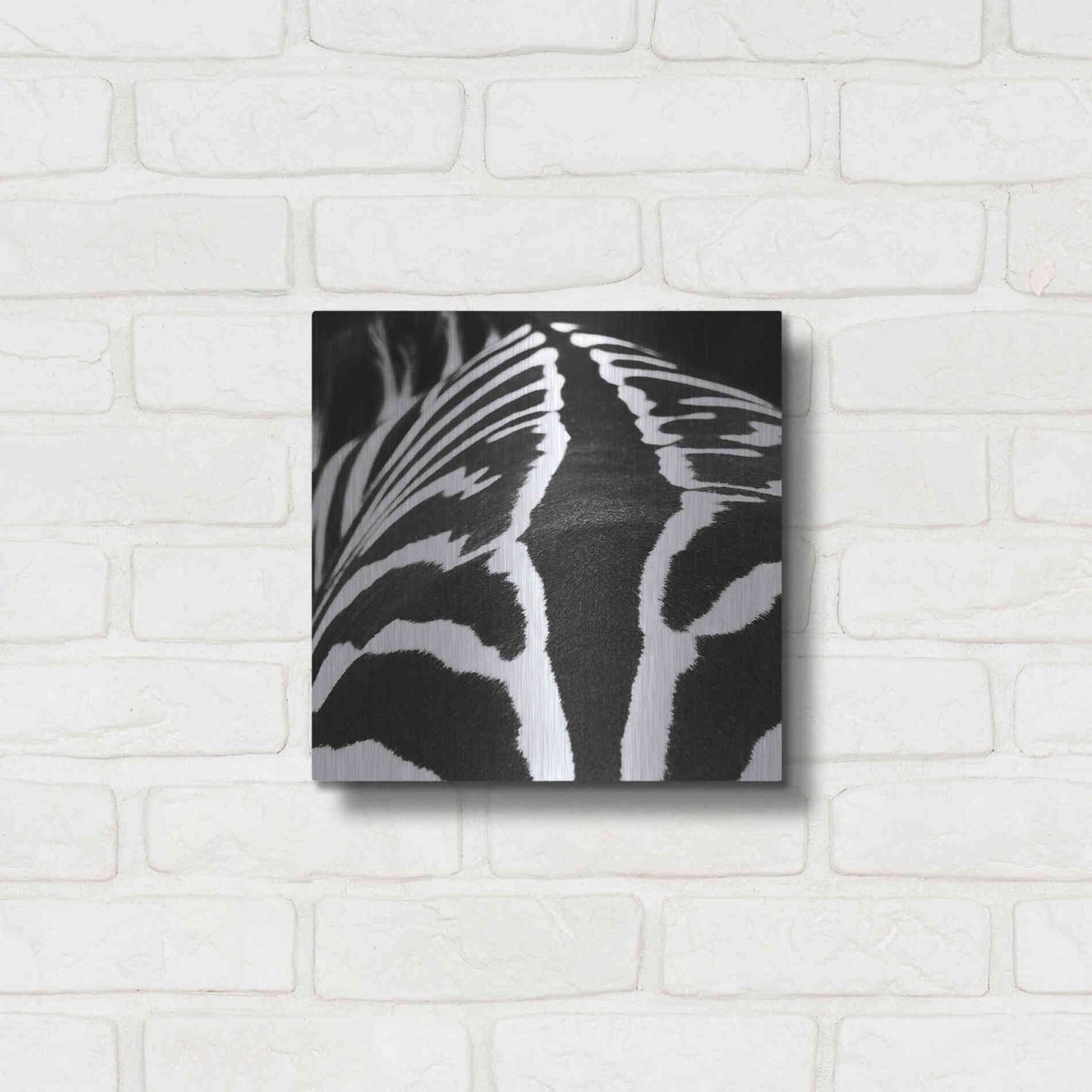 Luxe Metal Art 'Zebra V' by Debra Van Swearingen, Metal Wall Art,12x12