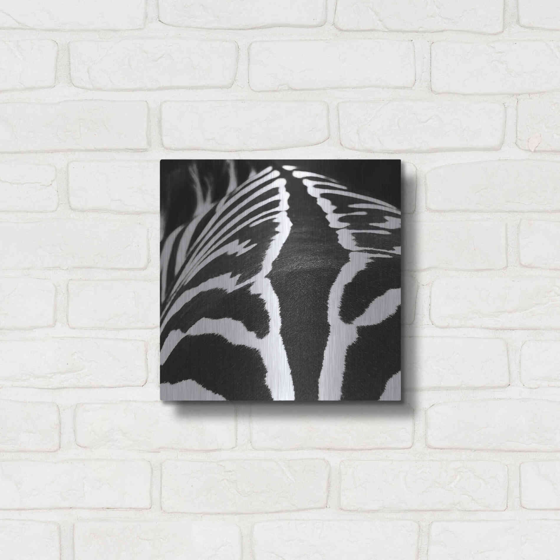 Luxe Metal Art 'Zebra V' by Debra Van Swearingen, Metal Wall Art,12x12
