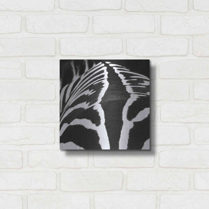Luxe Metal Art 'Zebra V' by Debra Van Swearingen, Metal Wall Art,12x12