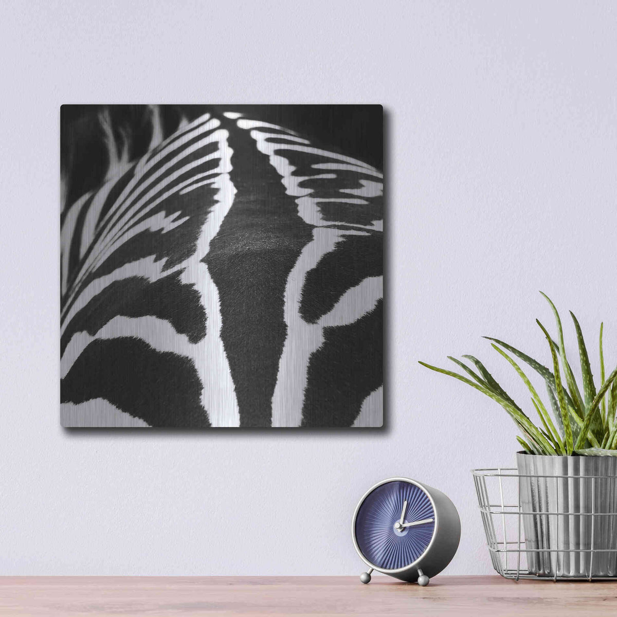 Luxe Metal Art 'Zebra V' by Debra Van Swearingen, Metal Wall Art,12x12