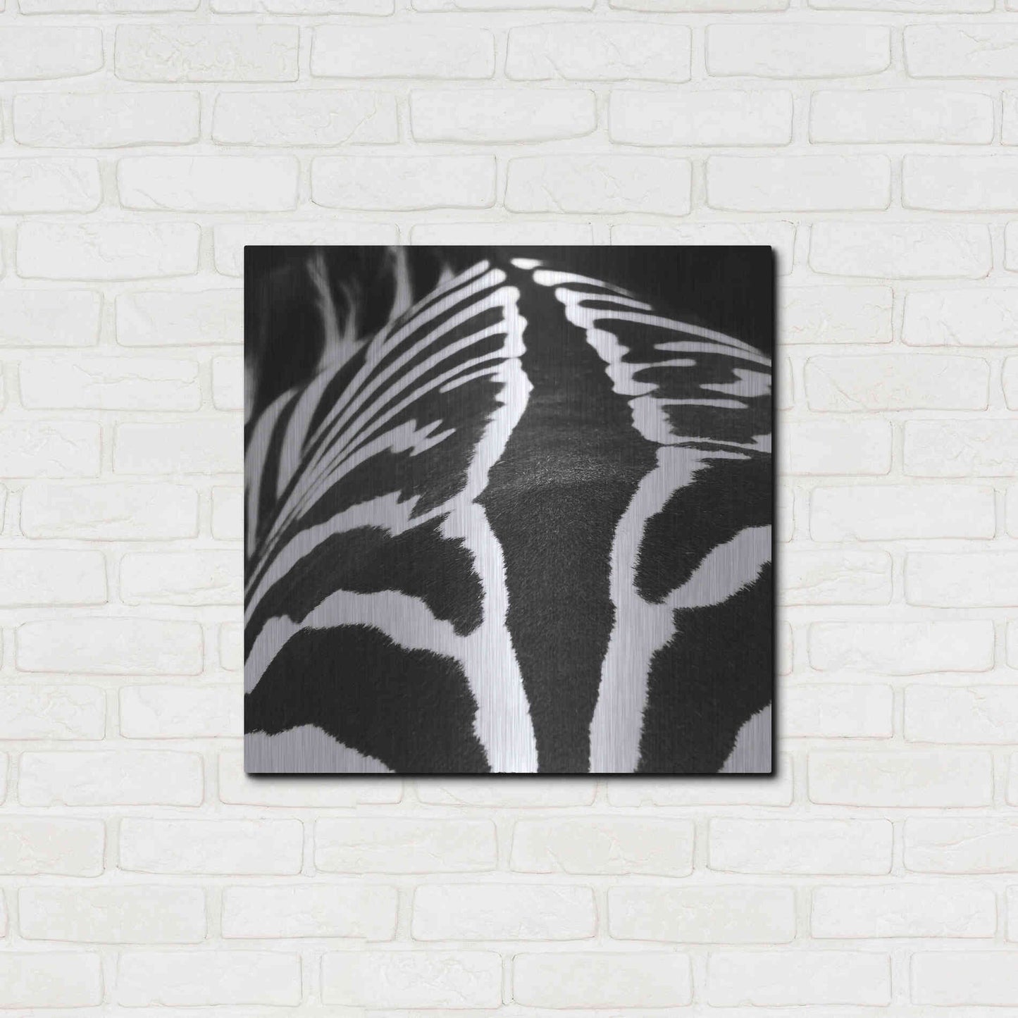 Luxe Metal Art 'Zebra V' by Debra Van Swearingen, Metal Wall Art,24x24