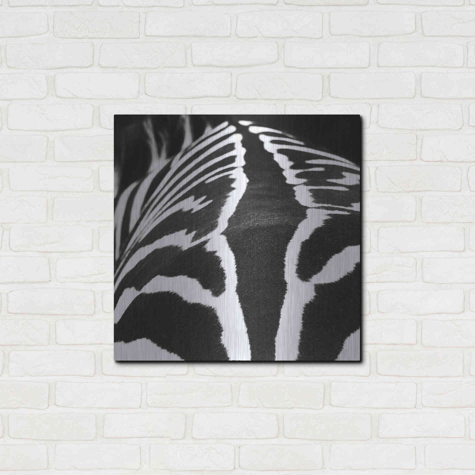 Luxe Metal Art 'Zebra V' by Debra Van Swearingen, Metal Wall Art,24x24