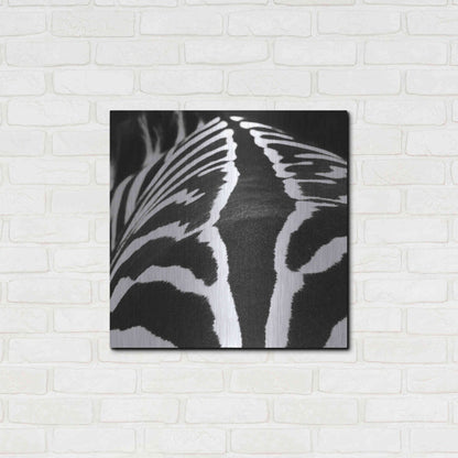 Luxe Metal Art 'Zebra V' by Debra Van Swearingen, Metal Wall Art,24x24