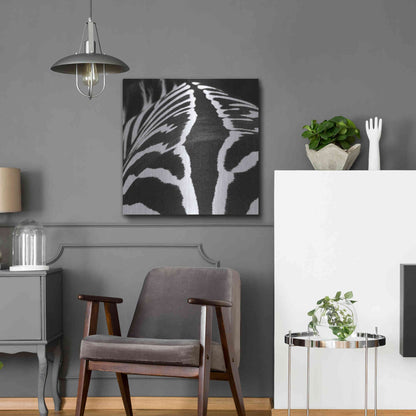 Luxe Metal Art 'Zebra V' by Debra Van Swearingen, Metal Wall Art,24x24