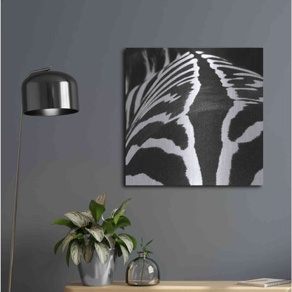 Luxe Metal Art 'Zebra V' by Debra Van Swearingen, Metal Wall Art,24x24