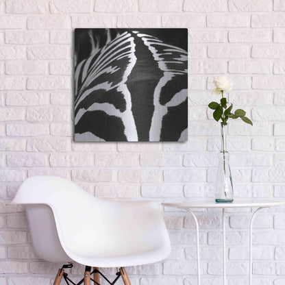Luxe Metal Art 'Zebra V' by Debra Van Swearingen, Metal Wall Art,24x24