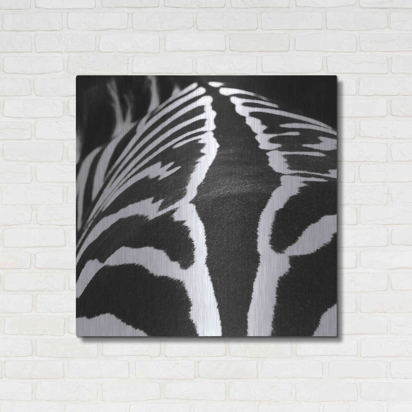 Luxe Metal Art 'Zebra V' by Debra Van Swearingen, Metal Wall Art,36x36