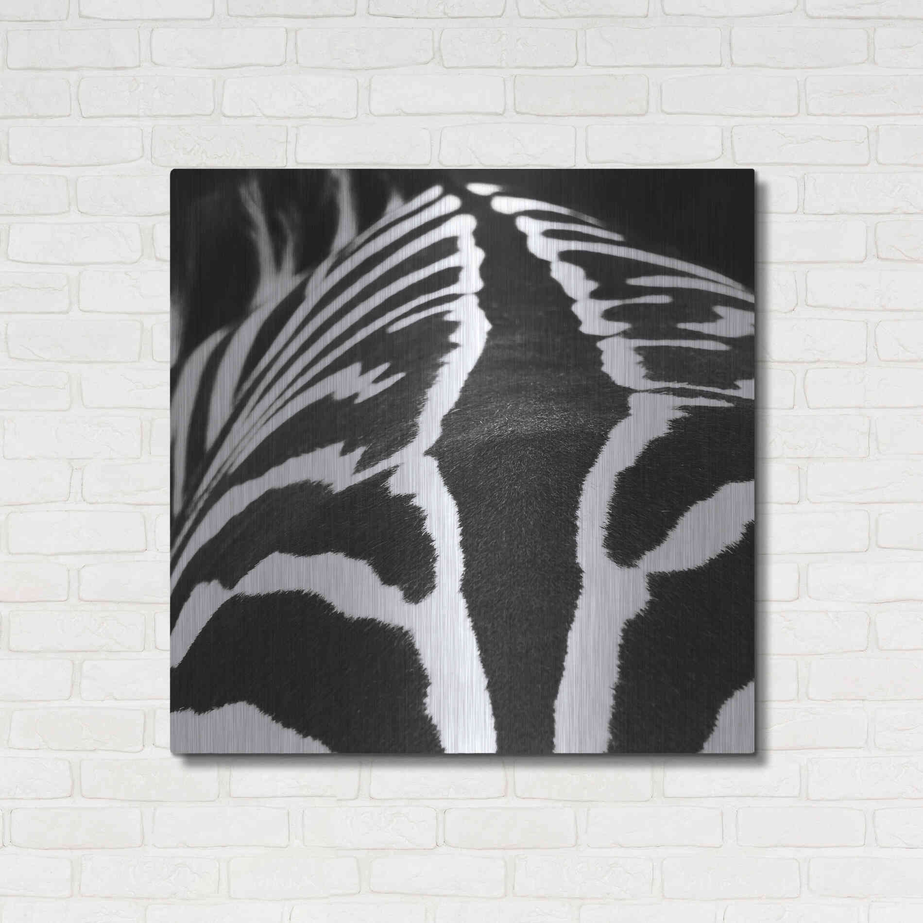 Luxe Metal Art 'Zebra V' by Debra Van Swearingen, Metal Wall Art,36x36