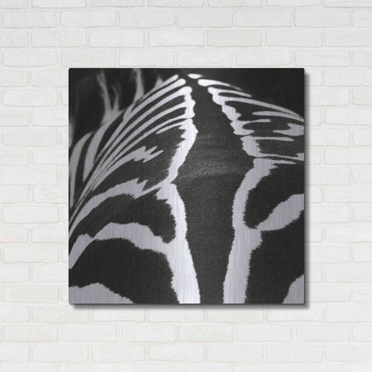 Luxe Metal Art 'Zebra V' by Debra Van Swearingen, Metal Wall Art,36x36