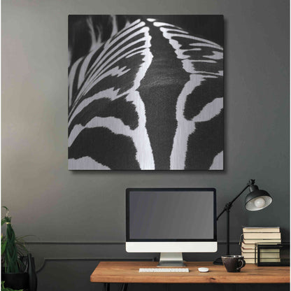 Luxe Metal Art 'Zebra V' by Debra Van Swearingen, Metal Wall Art,36x36