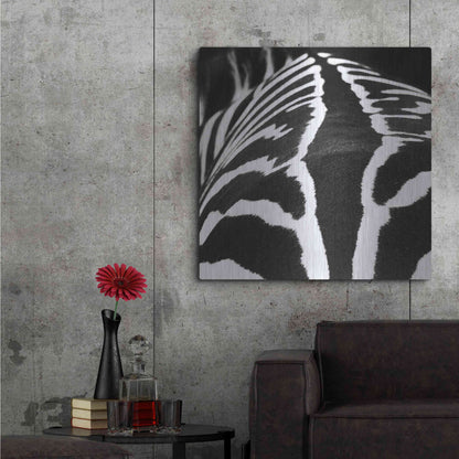 Luxe Metal Art 'Zebra V' by Debra Van Swearingen, Metal Wall Art,36x36
