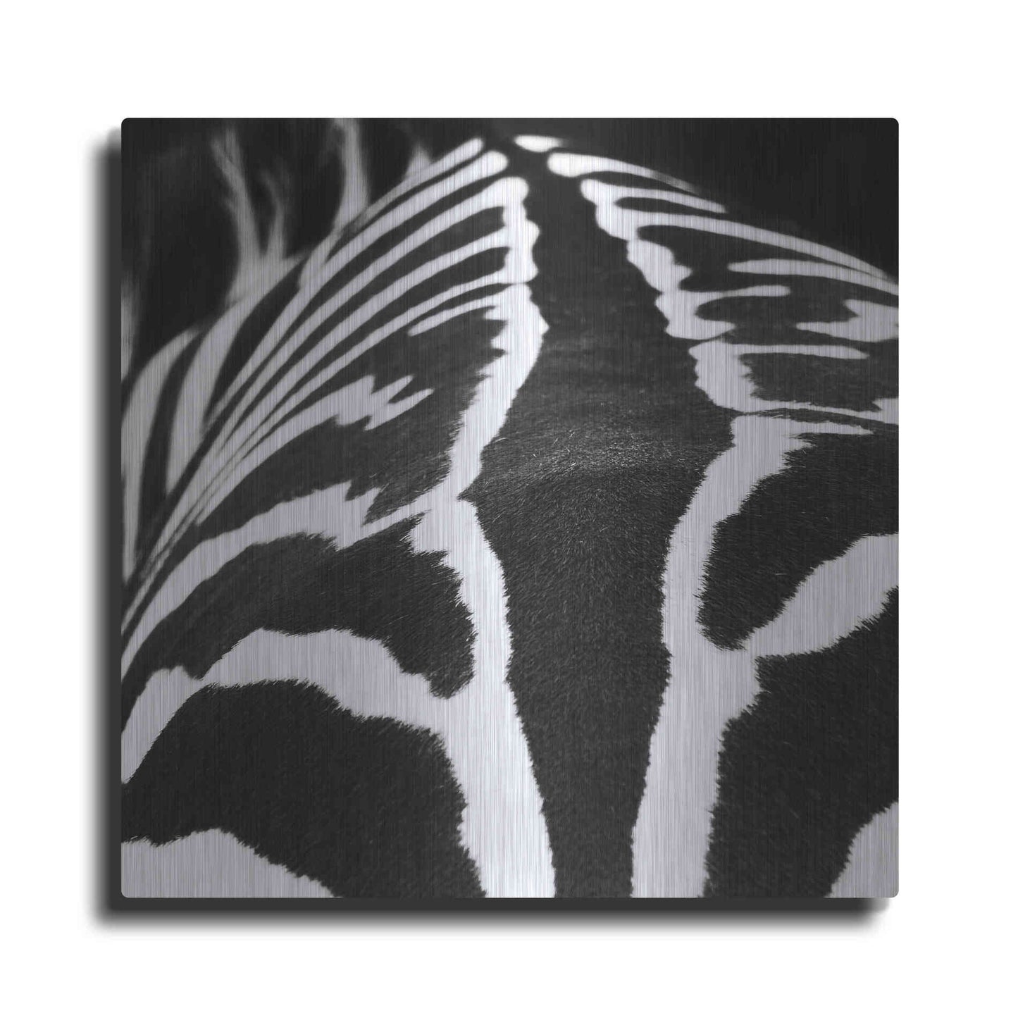 Luxe Metal Art 'Zebra V' by Debra Van Swearingen, Metal Wall Art