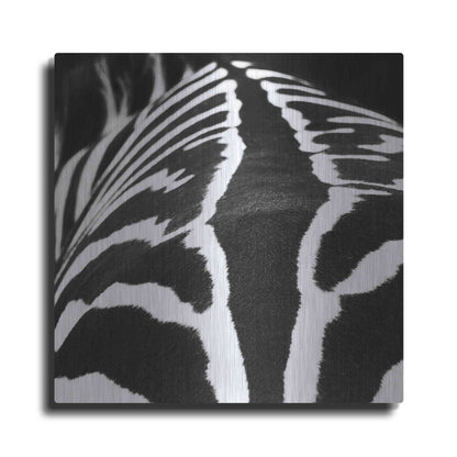 Luxe Metal Art 'Zebra V' by Debra Van Swearingen, Metal Wall Art