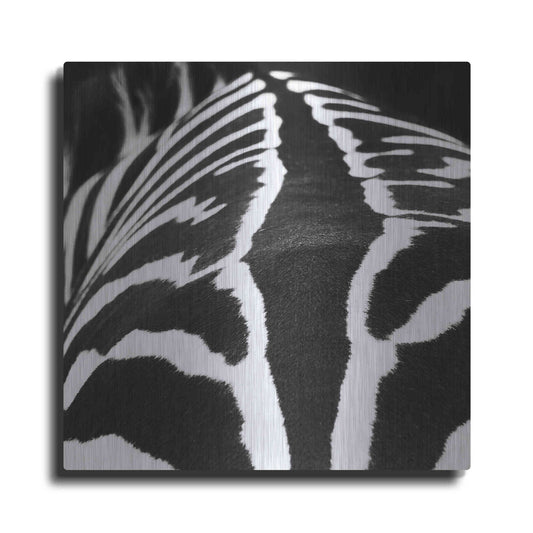 Luxe Metal Art 'Zebra V' by Debra Van Swearingen, Metal Wall Art