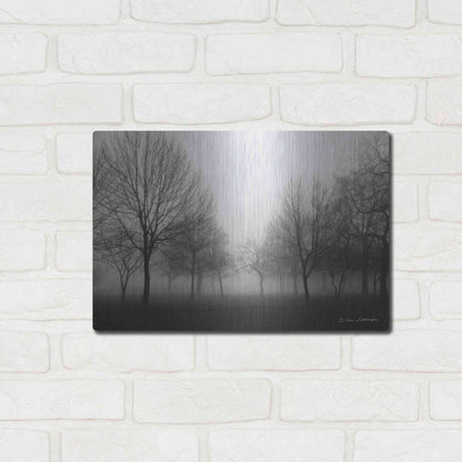 Luxe Metal Art 'Morning Mist' by Debra Van Swearingen, Metal Wall Art,16x12