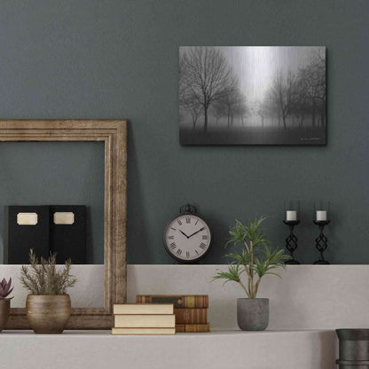Luxe Metal Art 'Morning Mist' by Debra Van Swearingen, Metal Wall Art,16x12