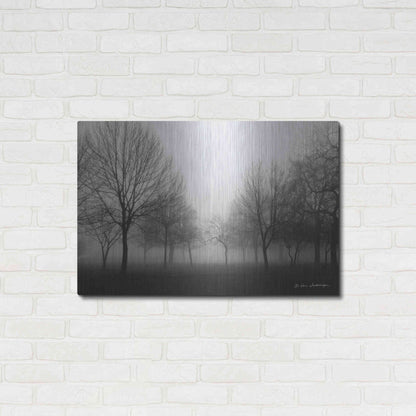 Luxe Metal Art 'Morning Mist' by Debra Van Swearingen, Metal Wall Art,36x24