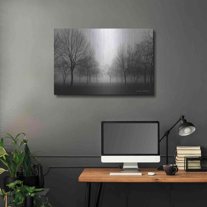 Luxe Metal Art 'Morning Mist' by Debra Van Swearingen, Metal Wall Art,36x24