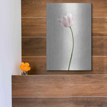 Luxe Metal Art 'Light Tulips I' by Debra Van Swearingen, Metal Wall Art,12x16