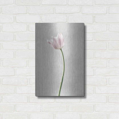 Luxe Metal Art 'Light Tulips I' by Debra Van Swearingen, Metal Wall Art,16x24