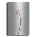 Luxe Metal Art 'Light Tulips I' by Debra Van Swearingen, Metal Wall Art