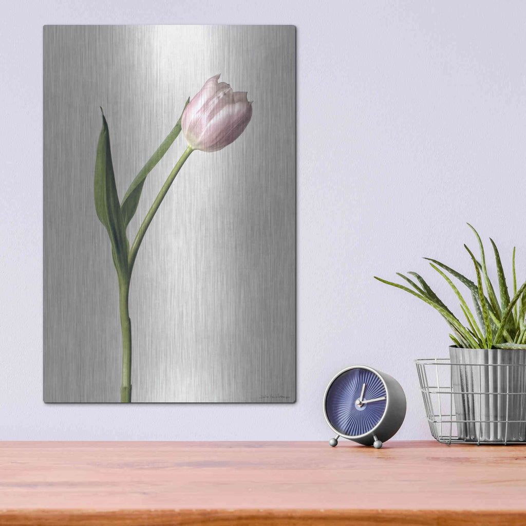 Luxe Metal Art 'Light Tulips II' by Debra Van Swearingen, Metal Wall Art,12x16