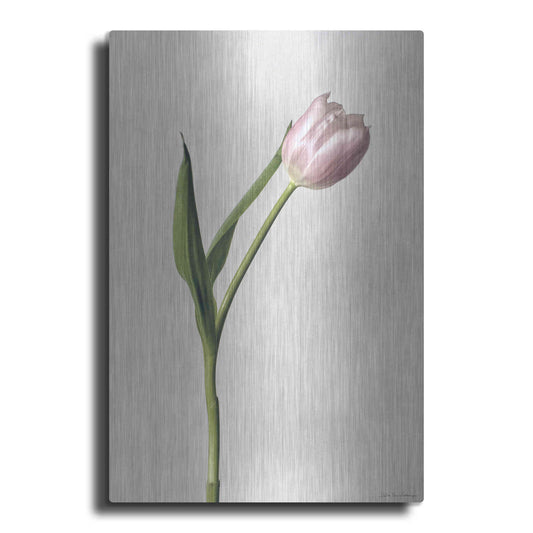 Luxe Metal Art 'Light Tulips II' by Debra Van Swearingen, Metal Wall Art