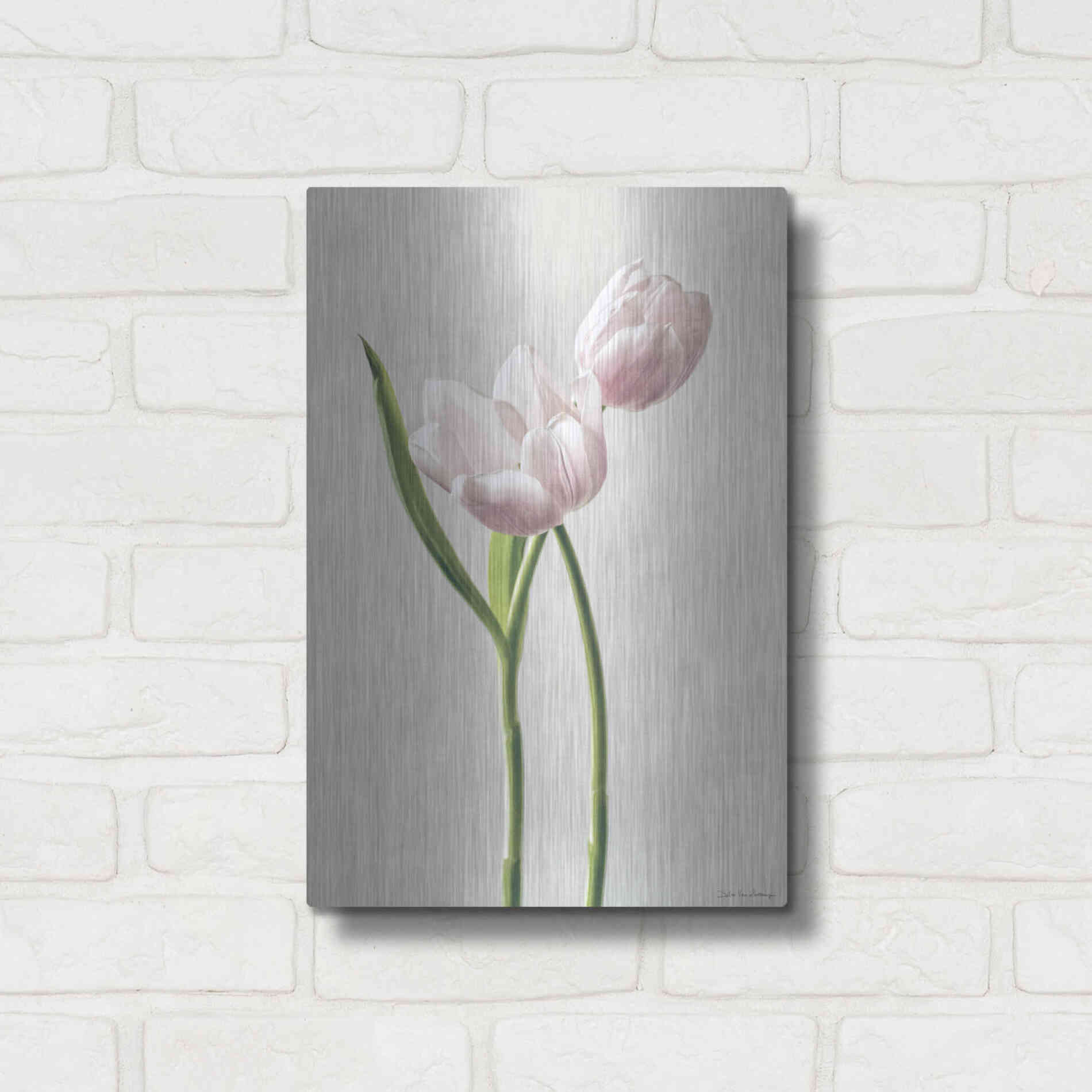 Luxe Metal Art 'Light Tulips III' by Debra Van Swearingen, Metal Wall Art,12x16